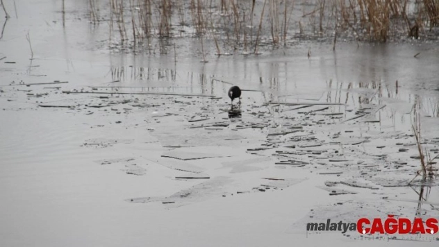 Beyşehir Gölü'nün kıyı kesimleri buz tuttu