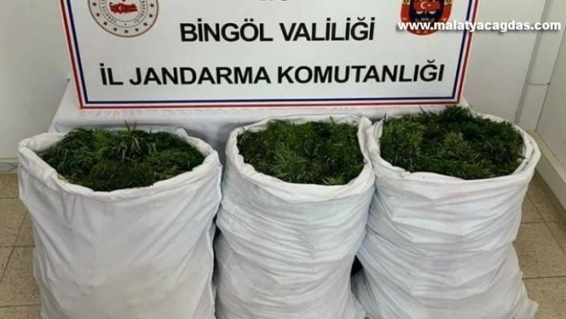 Bingöl'de 84 kilogram esrar ele geçirildi