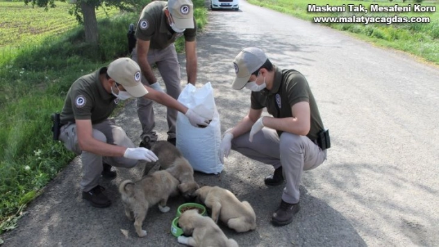 Bingöl'de bayramda da sokak hayvanları unutulmadı