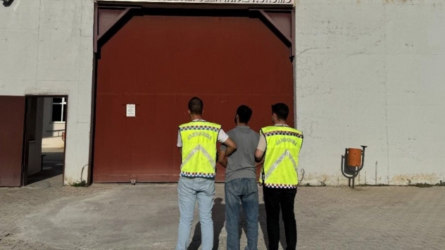 Bingöl'de çeşitli suçlardan aranan 7 kişi yakalandı