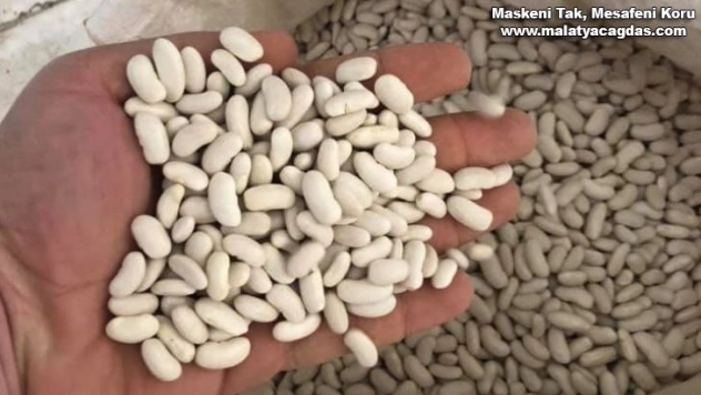 Bingöl'de çiftçilere Horoz kuru fasulye tohumu dağıtıldı