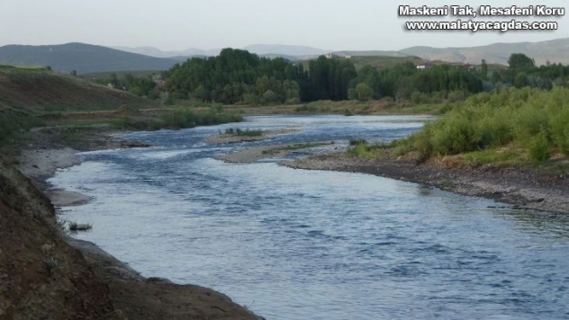 Bingöl'de dereye düşen çocuk hayatını kaybetti