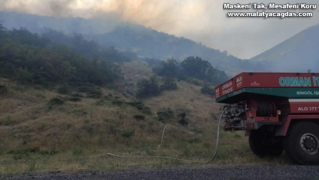Bingöl'de iki köyde çıkan orman yangını büyümeden söndürüldü