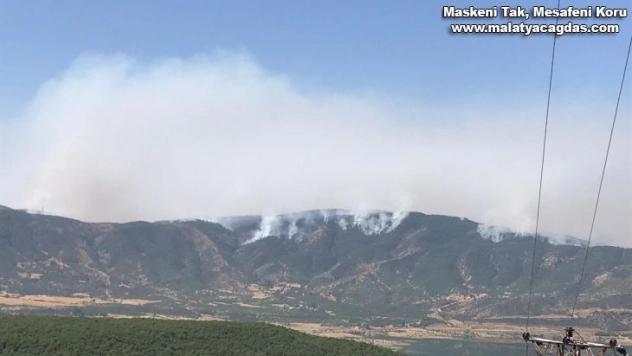 Bingöl'de iki noktadaki orman yangınına müdahale sürüyor