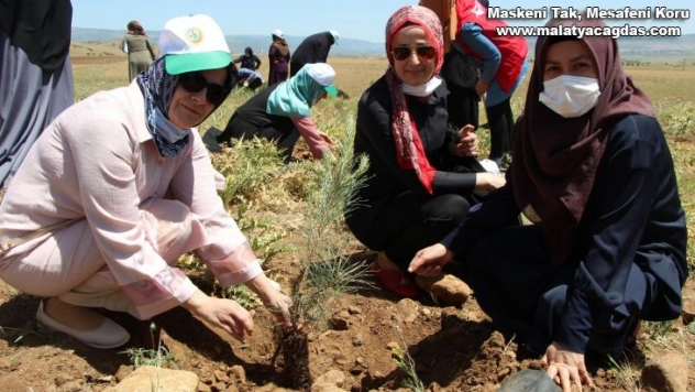 Bingöl'de kadınlar, 3 bin fidanı toprakla buluşturdu