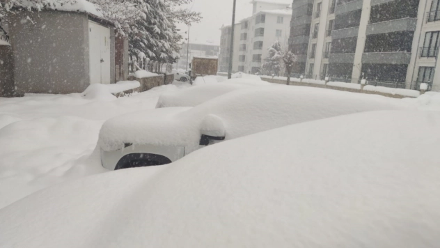 Bingöl'de kar yağışı aralıksız devam ediyor
