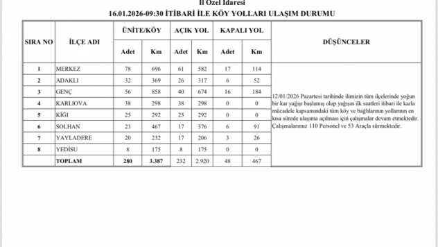 Bingöl'de karla mücadele sürüyor: 232 köy yolu ulaşıma açıldı