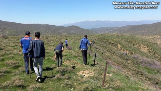 Bingöl'de kayıp yaşlı adamı arama çalışmaları sürüyor