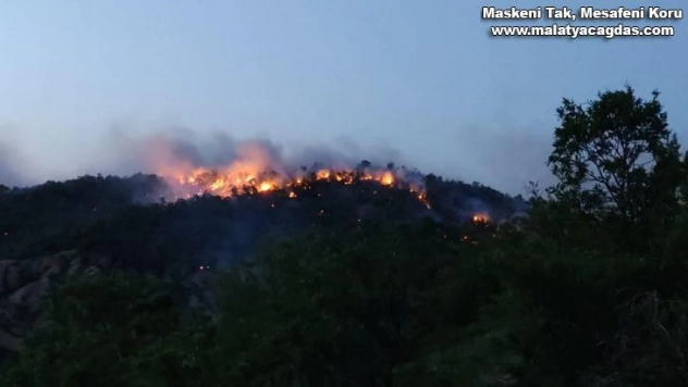 Bingöl'de orman yangını 2 günde kontrol altına alınabildi