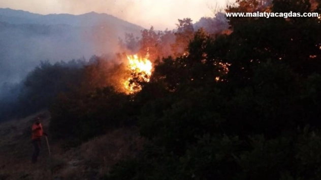 Bingöl'de orman yangını büyümeden söndürüldü