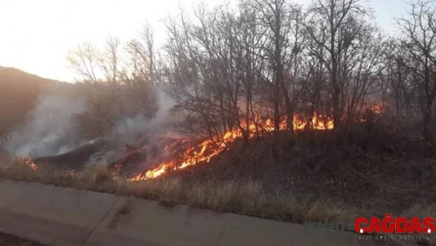 Bingöl'de orman yangını büyümeden söndürüldü