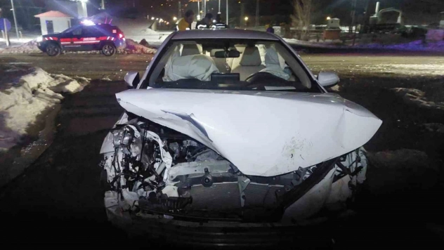 Bingöl'de otomobil domuz sürüsüne çarptı: 3 yaralı