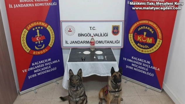 Bingöl'de uyuşturucu operasyonu: 2 şüpheli tutuklandı