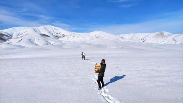 Bingöl'de yaban hayvanları için doğaya yem bırakıldı