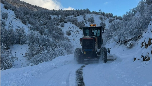 Bingöl'de yoğun kar yağışı: 100 köy yolu kapalı