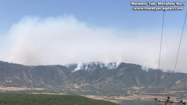 Bingöl Valiliği: 'Yaklaşık 2 bin-2 bin 500 hektar alanın yangından etkilendiği değerlendirilmektedir'