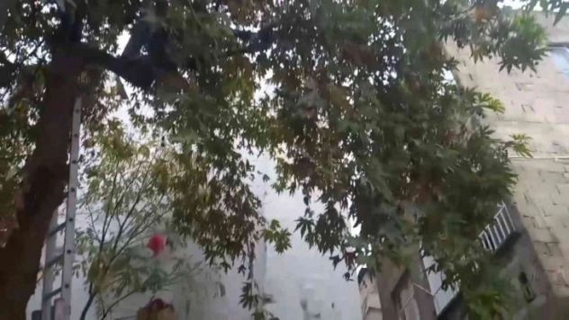 Bir garip kedi kurtarma operasyonu