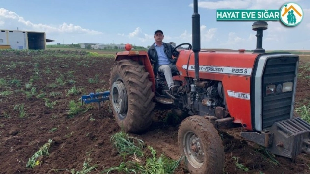 Bismil'de sokağa çıkma kısıtlamasından muaf olan çiftçiler tarlalarında çalıştı