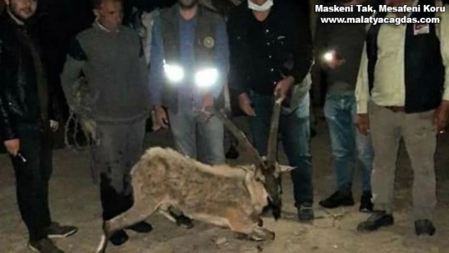 Bitkin halde bulup at sırtında taşıdılar