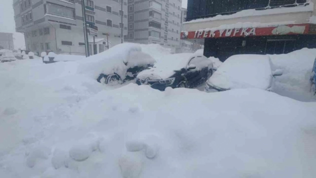 Bitlis'te kuvvetli kar, fırtına ve çığ tehlikesi uyarısı