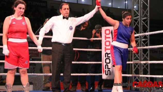 Boksun şampiyonları belli oldu