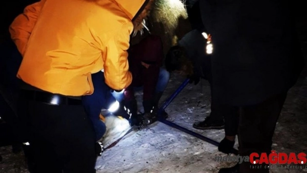 Boynuna tel dolanan köpeğin imdadına itfaiye ekipleri yetişti