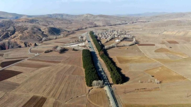 Bozkır'ın ortasında ağaç koridoru