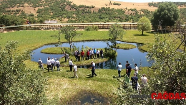 BÜ  senato toplantısı Yüzenadalar'da yapıldı