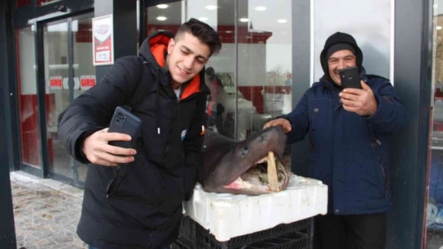 Bu balığı gören Erzurumlular telefonuna sarıldı