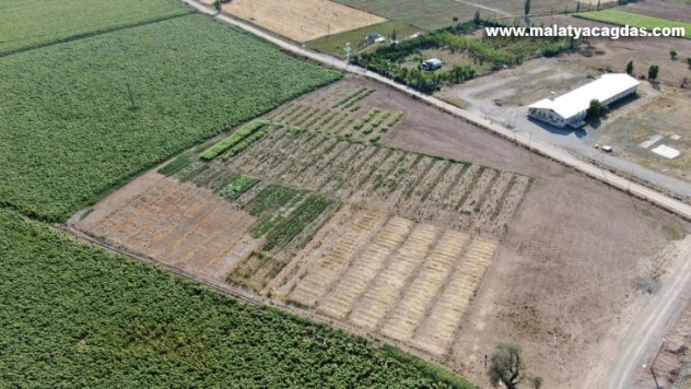 Bu da bilim tarlası, çiftçinin yüzünü güldürecek