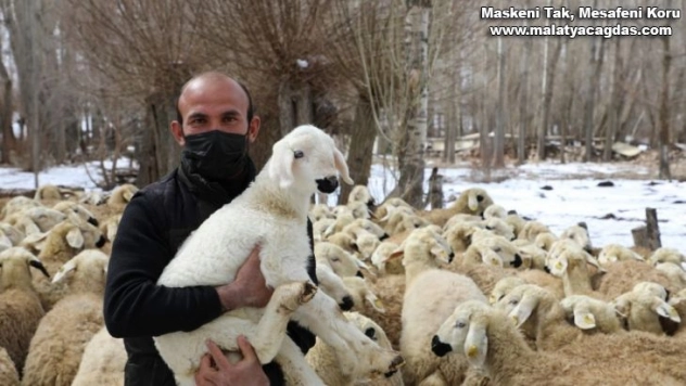 Bu projeyle çiftçiler 22 bin hayvana kavuştu
