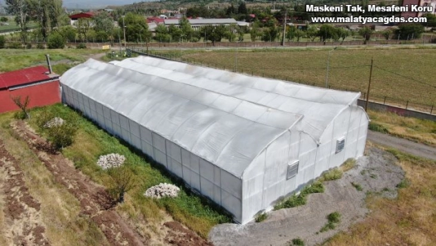 Bu sera hem öğretiyor, hem de ata tohumu çoğaltıyor