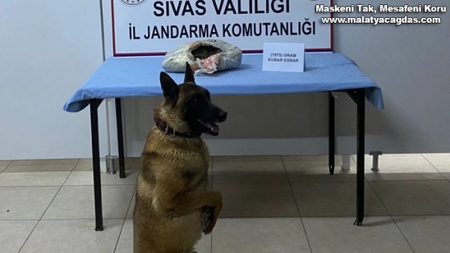 Buda yolcu beraberinde uyuşturucu