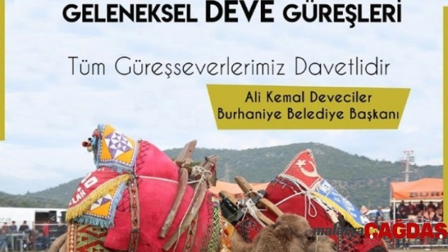 Burhaniye Zeytin ve Zeytinyağı Festivaline hazırlanıyor