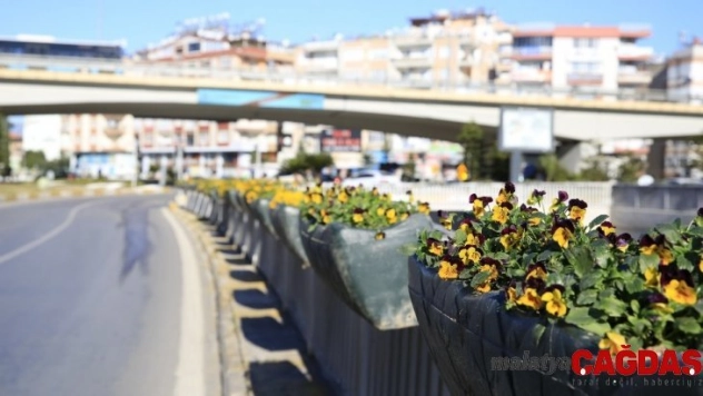 Büyükşehir Belediyesi köprülü kavşakları çiçeklerle süsledi