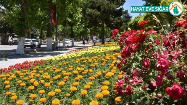 150 bin çiçek Toprakla Buluştu