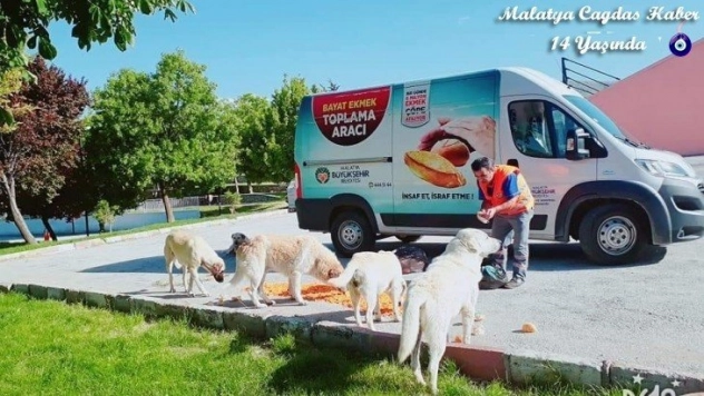 Sokak hayvanlarını unutmuyor