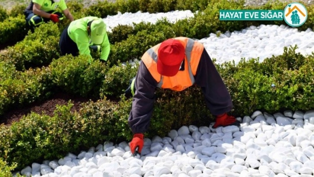 Büyükşehir'den kuru peyzaj