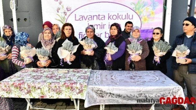 Büyükşehir Doğancılar'a 32 bin lavanta fidesi dağıttı