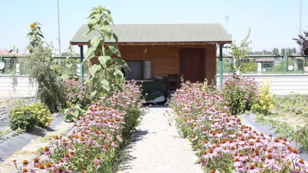Büyükşehir'in 'Doğal Ürünler Bahçesi Pazarı' açılıyor