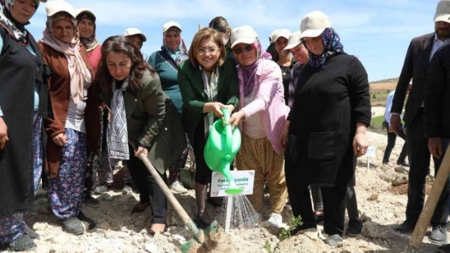 Büyükşehir, Tıbbi Ve Aromatik Bitkiler Ormanı kurdu
