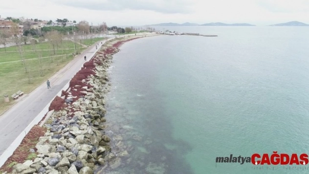 Caddebostan Sahili kızıla büründü