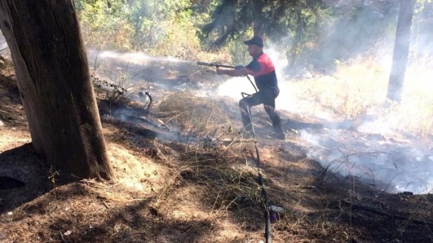 Çamlıkta çıkan büyümeden söndürüldü
