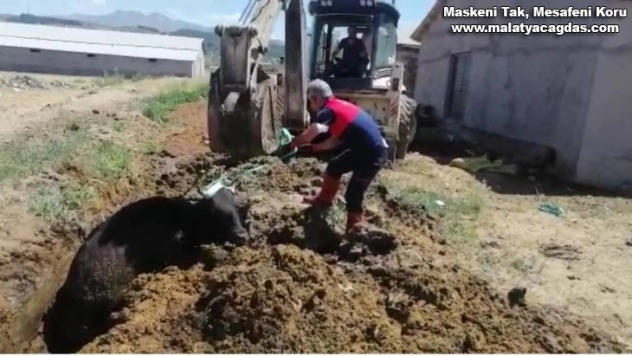 Çamura saplanan ineği itfaiye ekipleri kurtardı