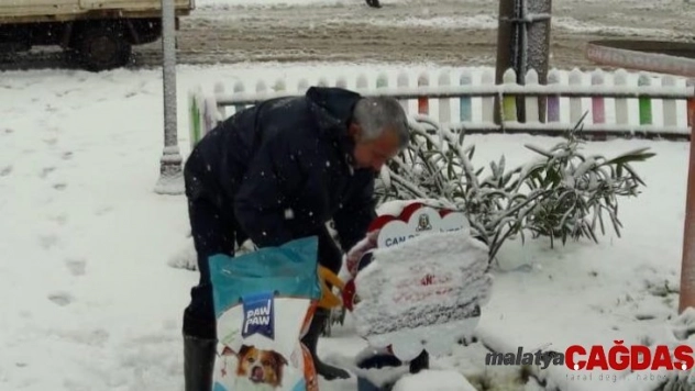 Çan Belediyesi sokak hayvanlarını unutmadı