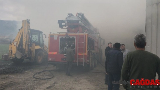 Çanakkale'de 50 bin liralık saman balyası yandı