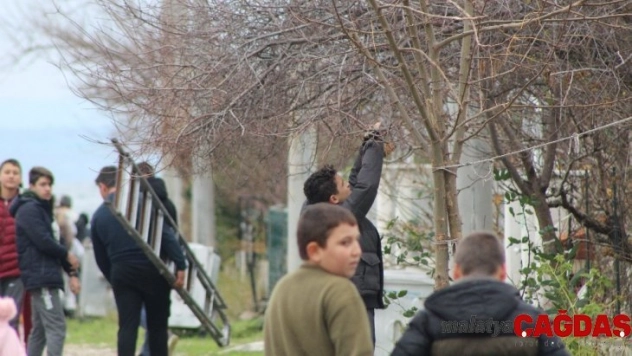 Çanakkaleli öğrenciler kuşlar için 50 yuva yaptı, onlarca yemlik hazırladı