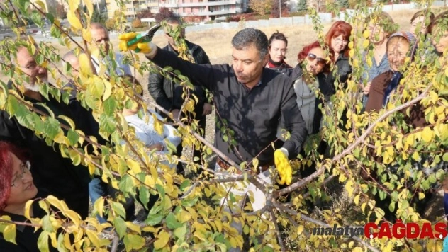 Çankaya Belediyesinden kursiyerlere budama eğitimi