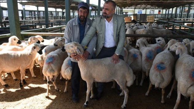 Canlı Hayvan Pazarı'nda yetiştiricilere sahte para uyarısı