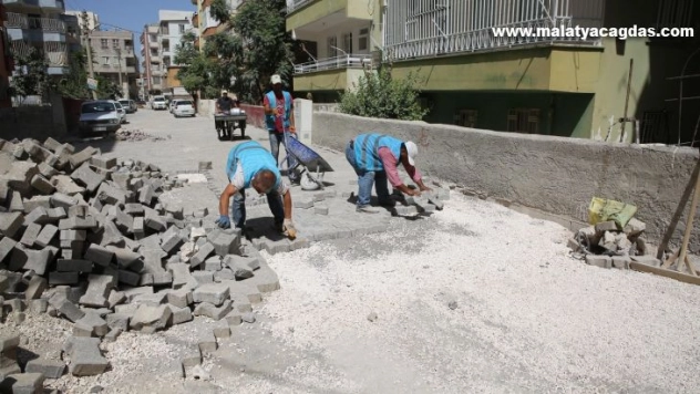 Canpolat parke çalışmalarını inceledi